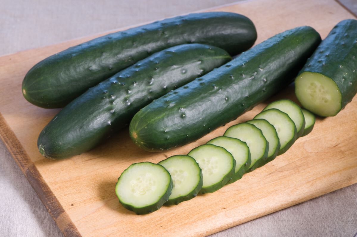 Corinto – Organic Cucumber Seed