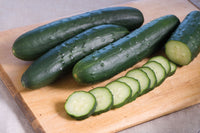 Corinto – Organic Cucumber Seed