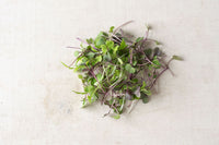 Mild Micro Mix – Microgreen Seed