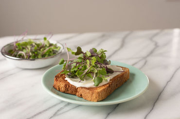 Mild Micro Mix – Microgreen Seed