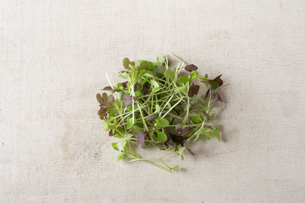 Spicy Micro Mix – Microgreen Seed