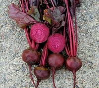 Bull’s Blood – Organic Beet Seed