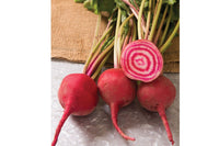 Chioggia Guardsmark – Beet Seed