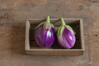 Rosa Bianca – Organic Eggplant Seed