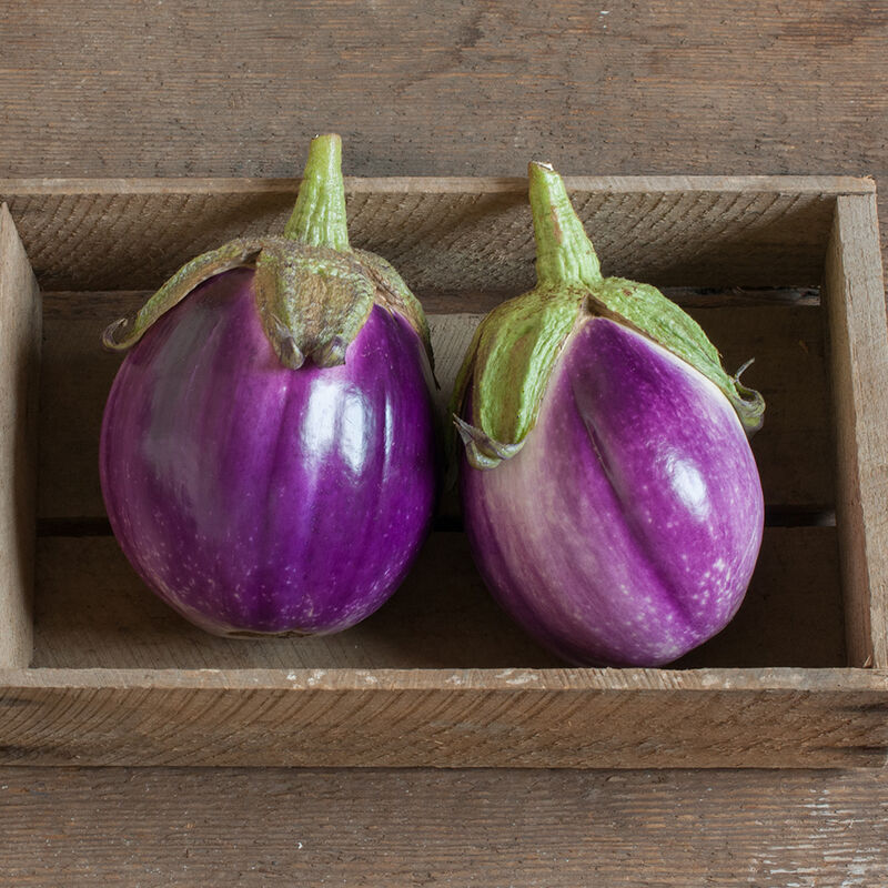 Rosa Bianca – Organic Eggplant Seed