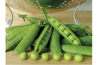 Premium – Treated Pea Seed