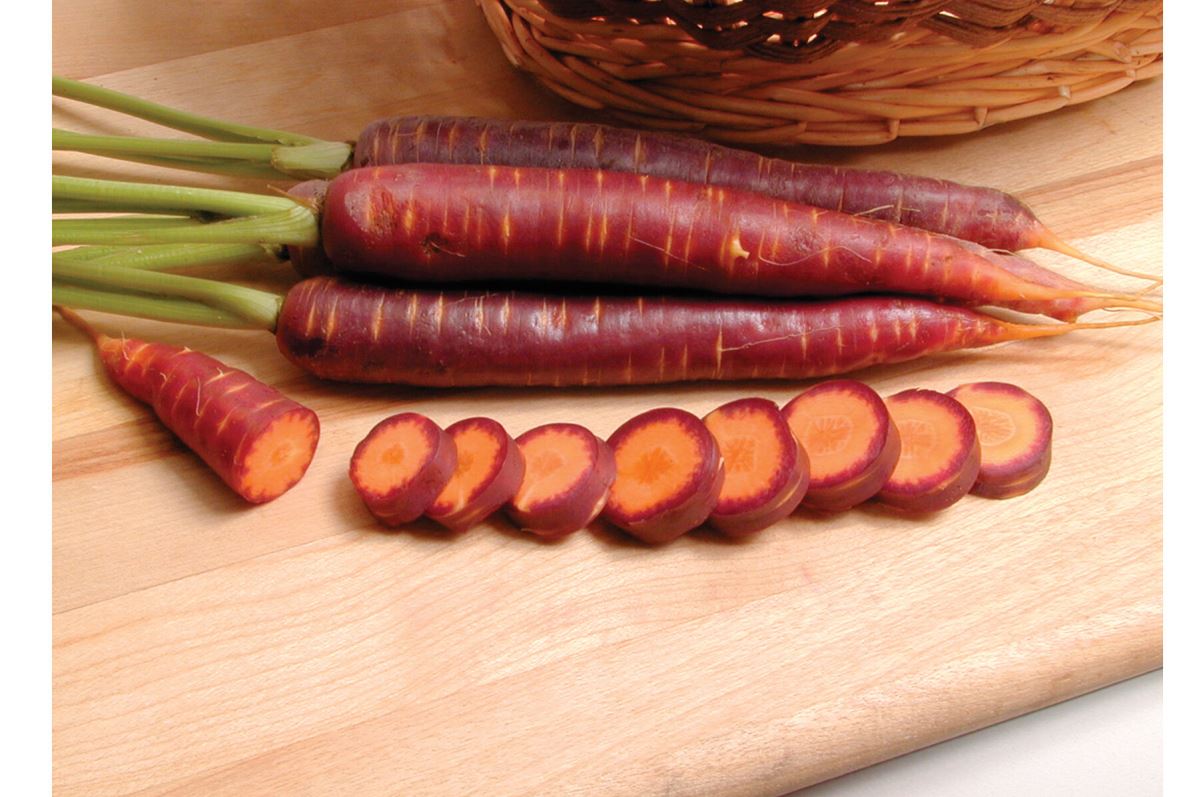 Purple Haze – Carrot Seed