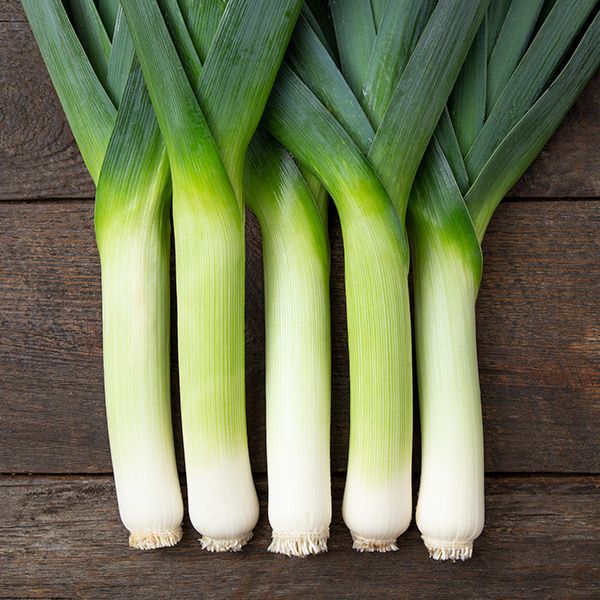 Megaton – Organic Leek Seed