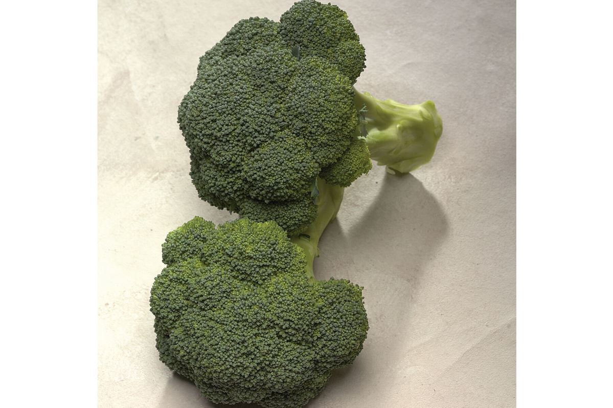 Diplomat – Broccoli Seed