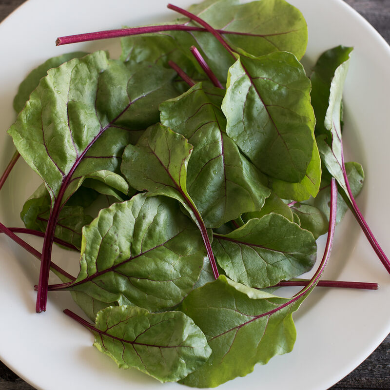 Fresh Start – Beet Seed