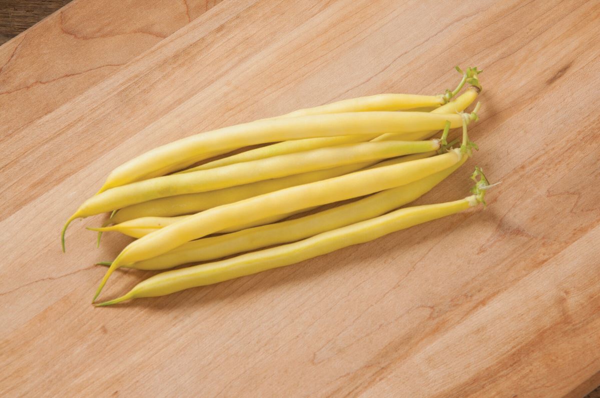 Carson – Bean Seed