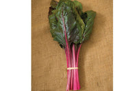 Magenta Sunset – Swiss Chard Seed