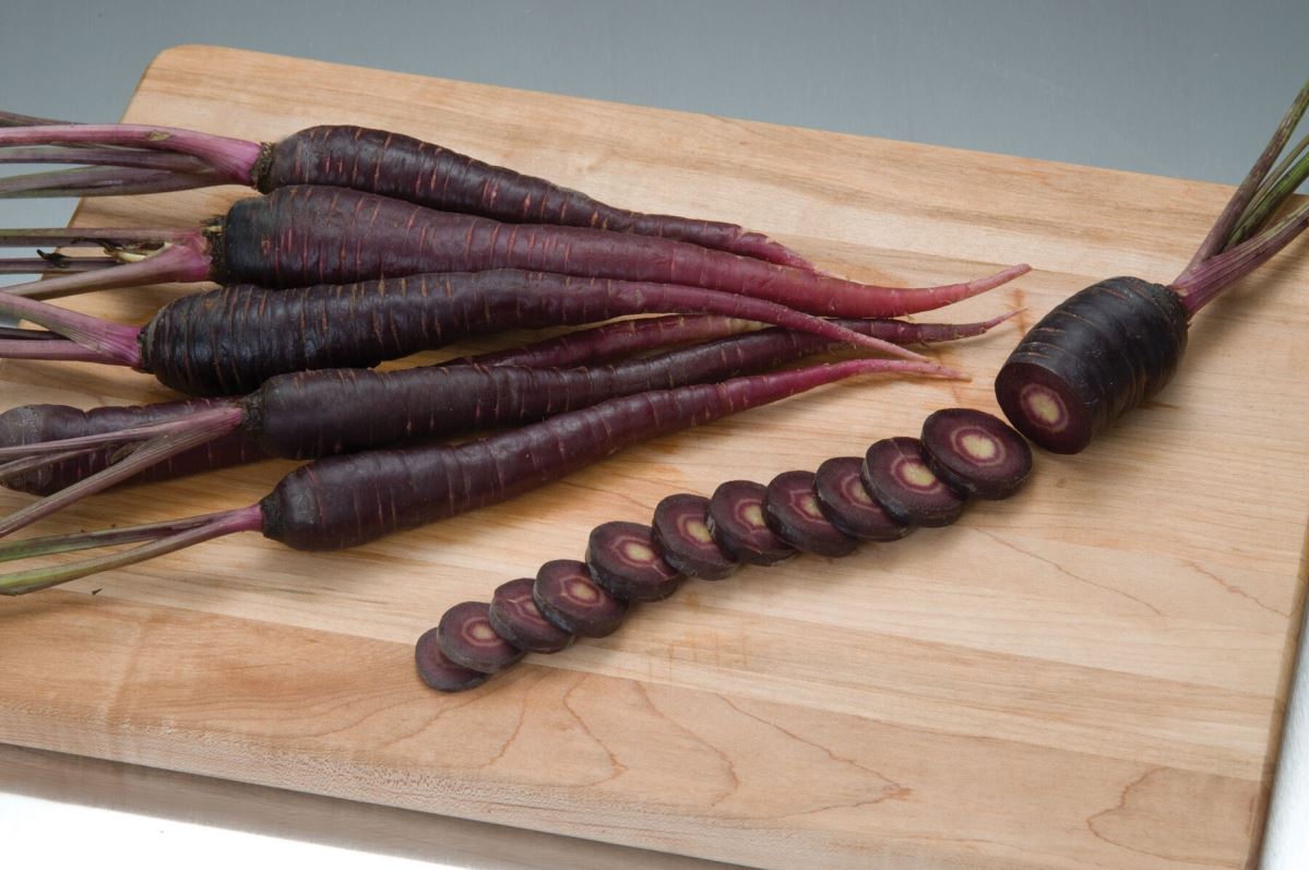 Deep Purple – Carrot Seed