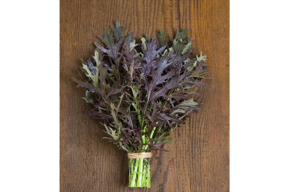 Ruby Streaks – Mustard Green Seed