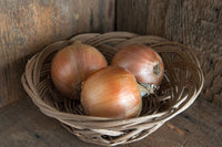 Cortland – Organic Onion Seeds