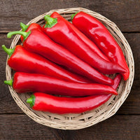 Cornito Rosso – Organic Corno di Toro Pepper Seed