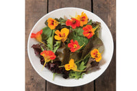 Salad Mix Collection – Organic Vegetable Seed