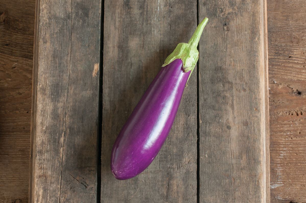 Dancer – Eggplant Seed