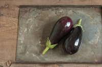 Galine – Eggplant Seed