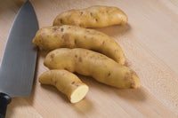 Russian Banana – Organic Seed Potatoes