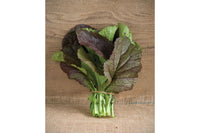 Red Giant – Organic Mustard Green Seed