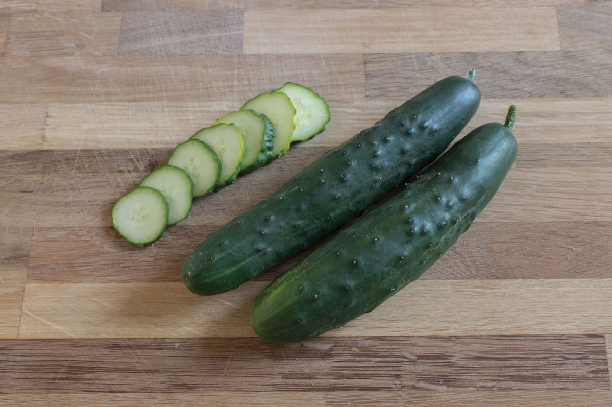 Olympian – Treated Cucumber Seed
