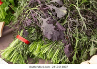 Red Splendor – Mustard Green Seed