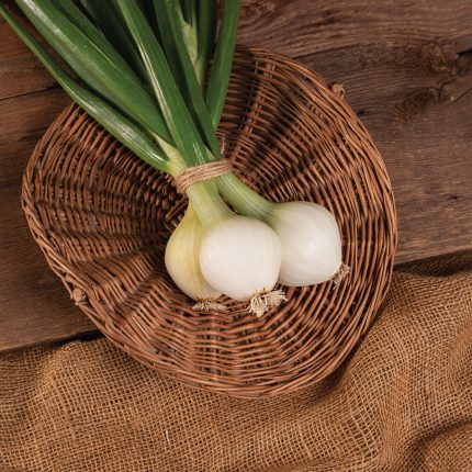 Forum – Fall Onion Sets Seed