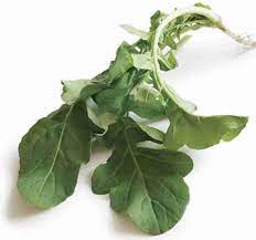 Esmee – Organic Arugula Seed