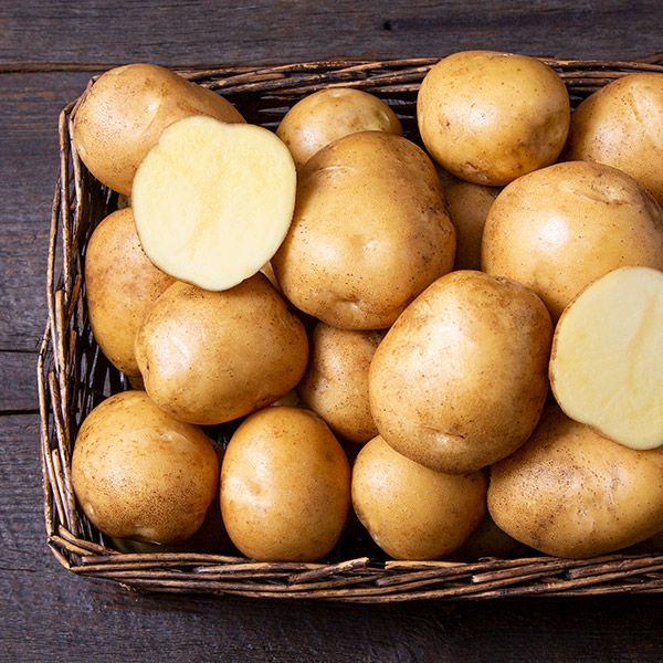 Satina – Organic Potatoes Seed
