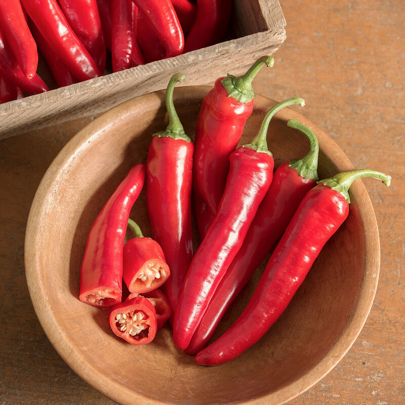 Red Ember – Organic Cayenne Pepper Seeds