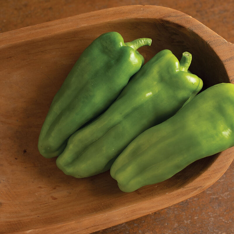 Nassau – Cubanelle Pepper Seed