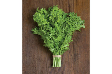 Golden Frills – Mustard Green Seed