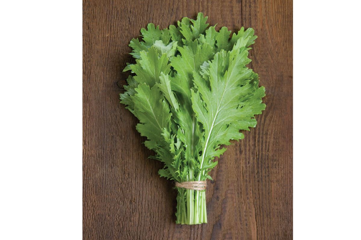 Suehlihung No. 2 – Mustard Green Seed