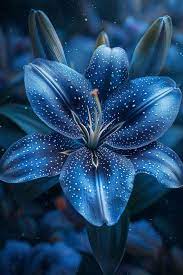 Rare Color Lily Seeds