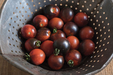 Indigo Cherry Drops – Organic Tomato Seed