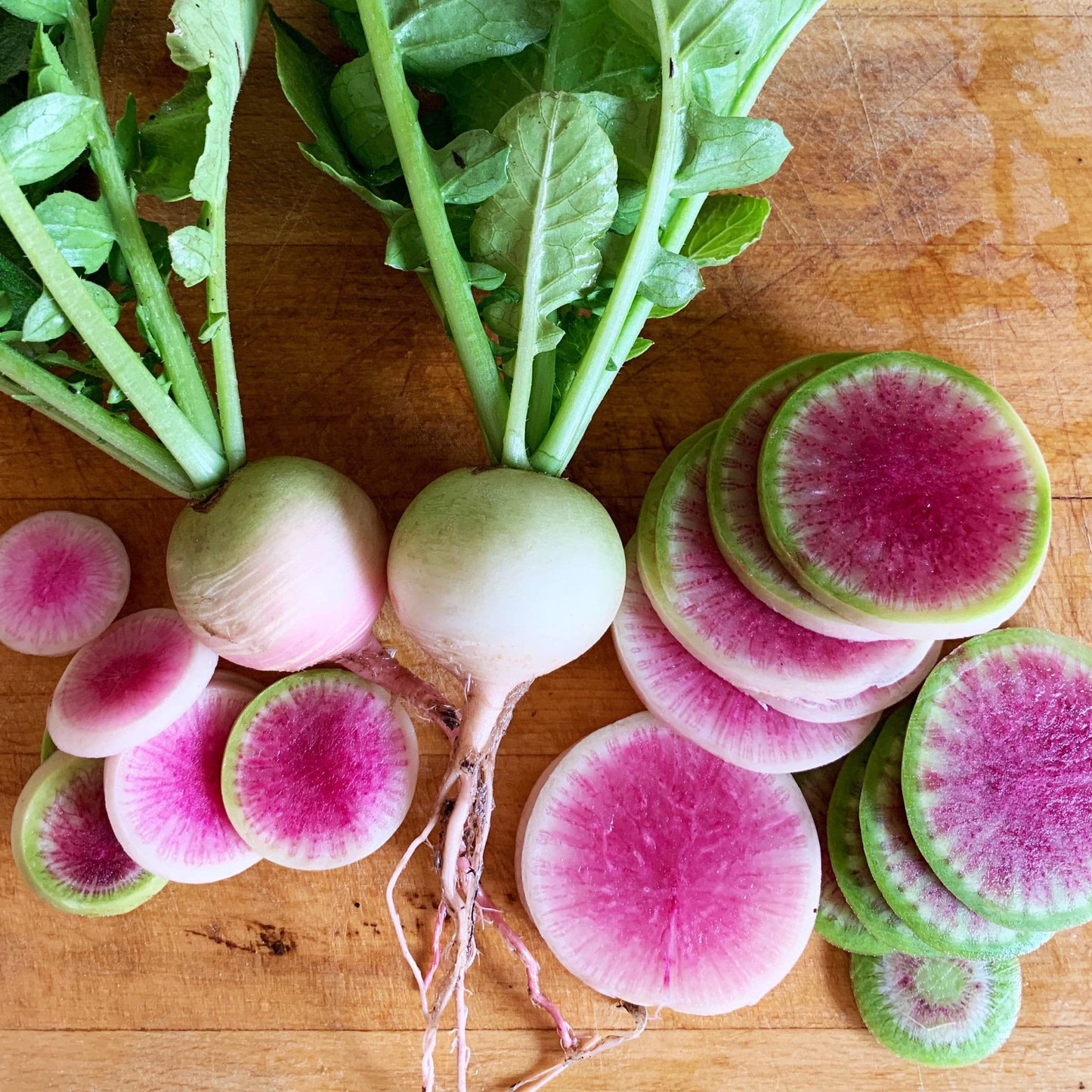 Purple Heart – Watermelon Radish Seeds