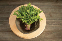 Central Red – Green Seed