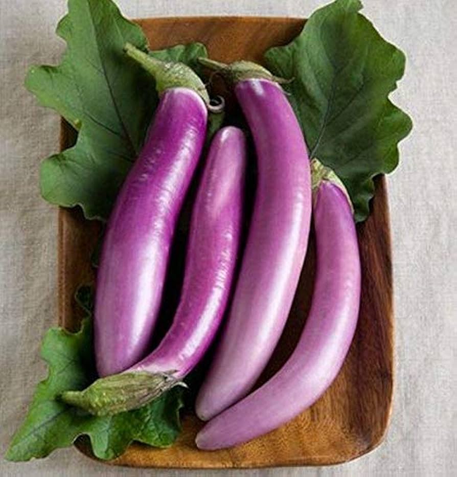 Orient Charm – Eggplant Seed