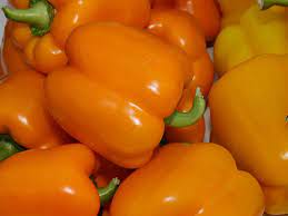 Milena – Bell Pepper Seed