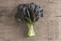 Red Kingdom – Asian Green Seed