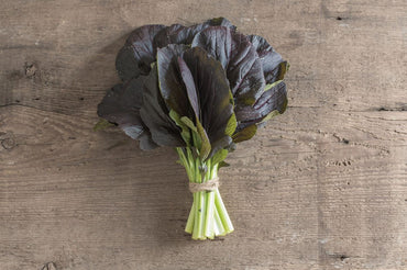 Red Kingdom – Asian Green Seed