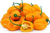 Habanero – Organic Hot Pepper Seed
