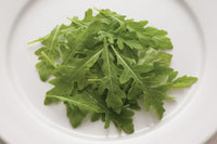 Sylvetta – Arugula Seed