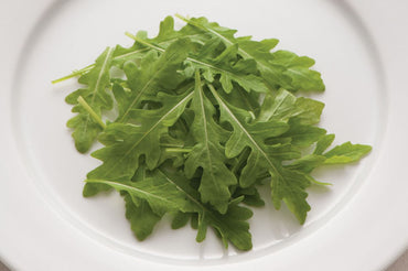 Sylvetta – Arugula Seed