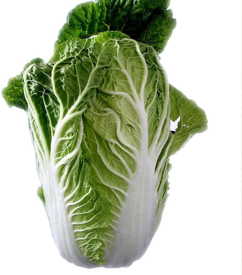 Citrus – Orange Chinese Cabbage Seeds