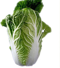 Citrus – Orange Chinese Cabbage Seeds