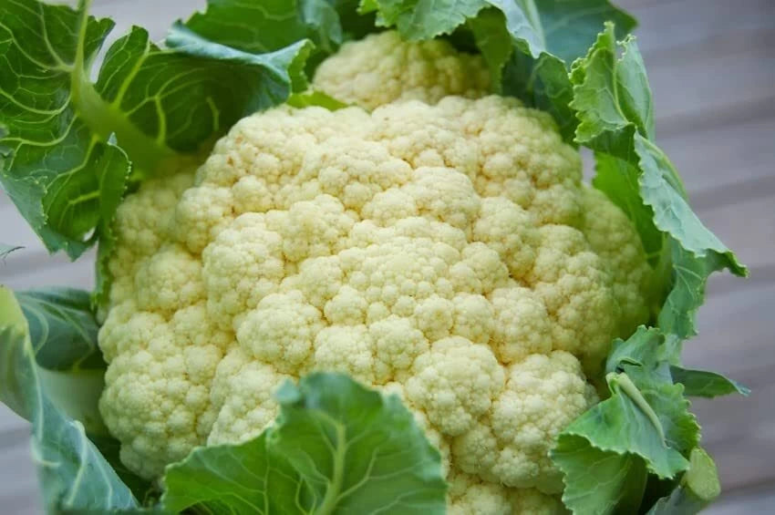 Skywalker – Organic Cauliflower Seed