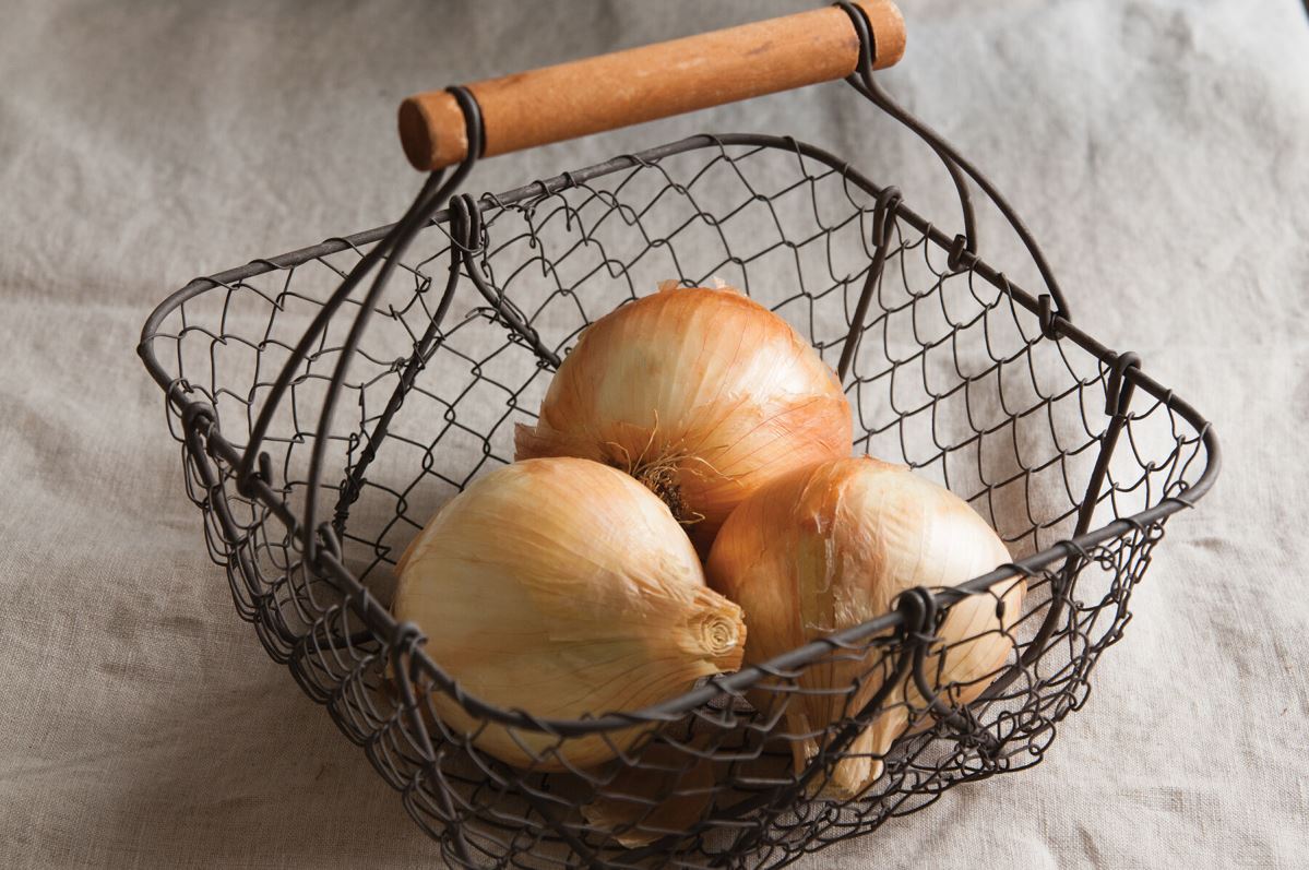 Pumba – Onion Seed