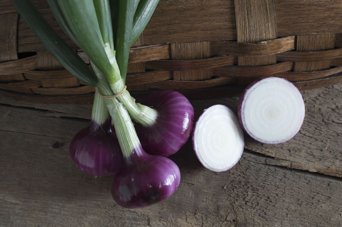 Desert Sunrise – Onion Seed